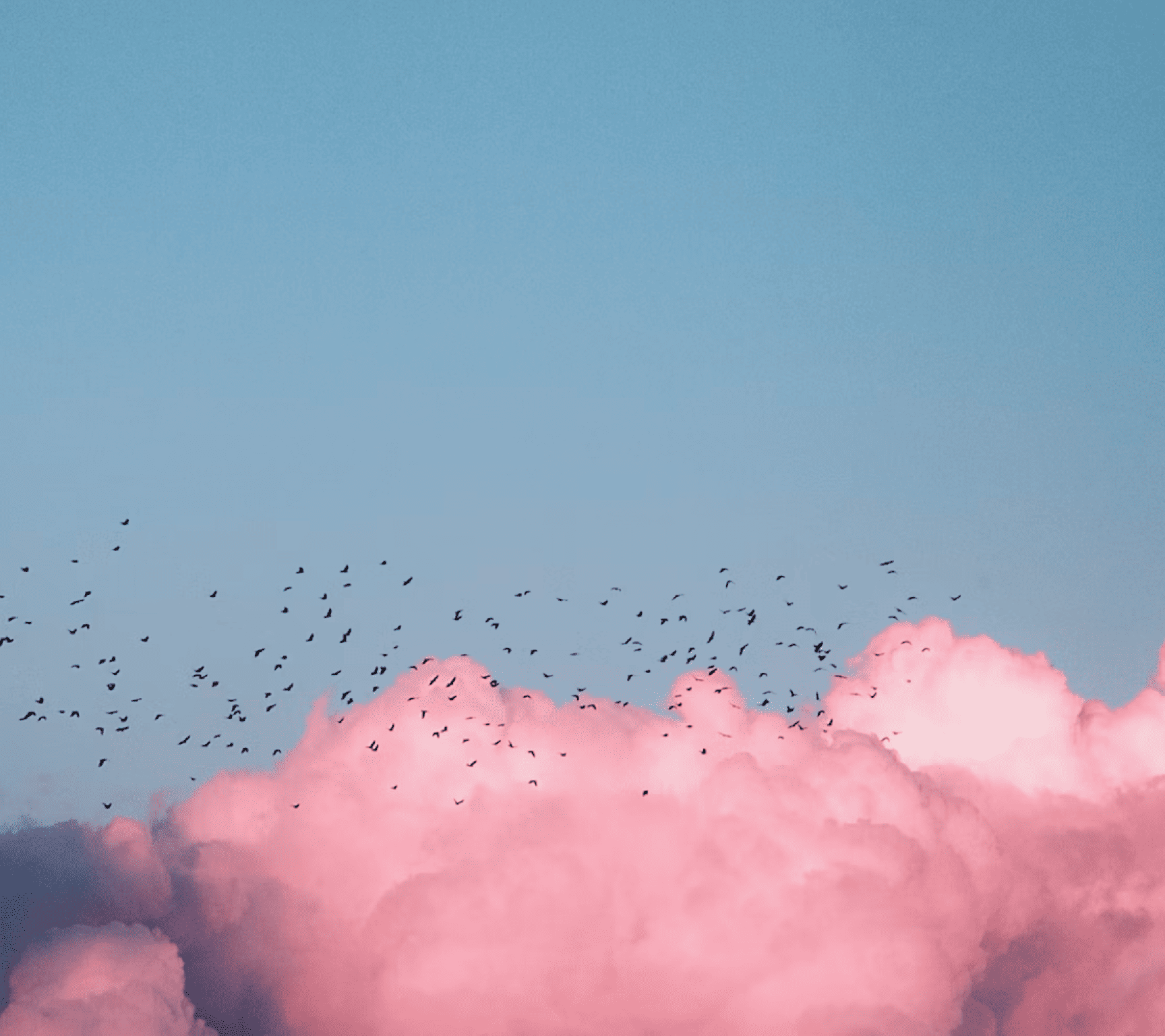 Единая система корпоративных коммуникаций